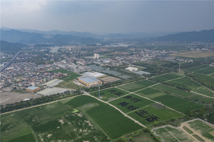 DJI_0316(1)_副本.jpg